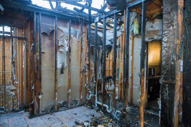 Professional Structural Rebuild technician working in Elk River, MN